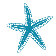 Chuckanut Therapeutic Massage Logo - Starfish