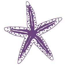 CTM_LOGO_PURPLE